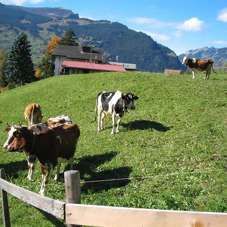 Alpenhof Hotel Гринделвалд Екстериор снимка